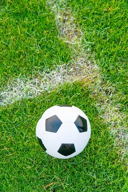 咪咕体育官方APP 界面预览